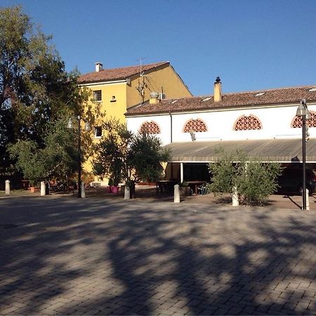 Agriturismo La Rasdora Porto Mantovano Exteriér fotografie